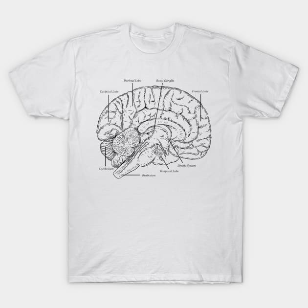 Brain Anatomy T-Shirt by ExelanArt